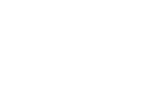 Beginning Boutique