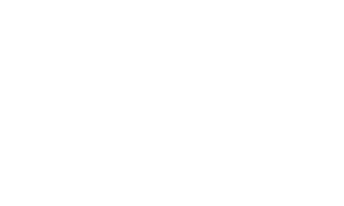 Velocity